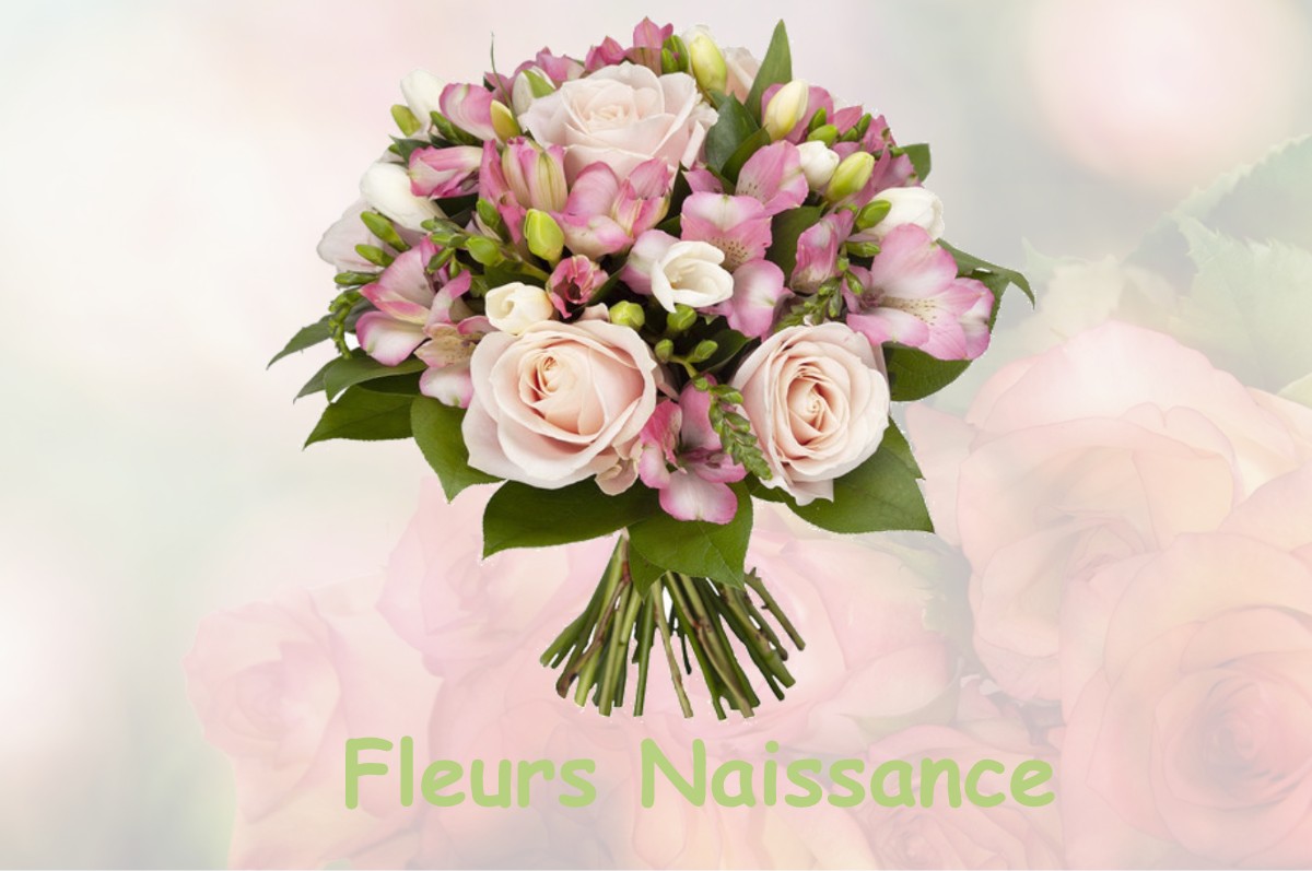 fleurs naissance LABARTHE-SUR-LEZE