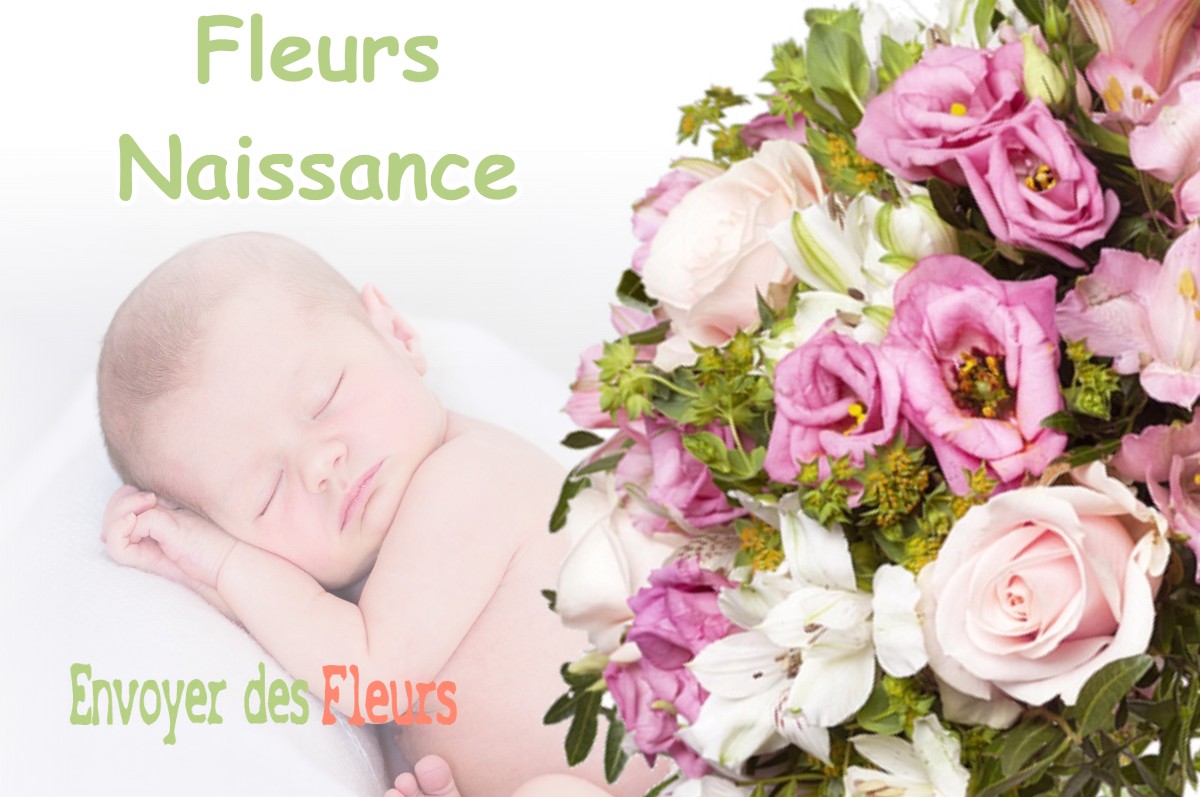 lIVRAISON FLEURS NAISSANCE à LABARTHE-SUR-LEZE